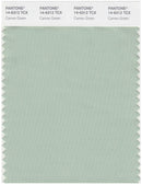 Pantone Smart 14-6312 TCX Color Swatch Card | Cameo Green