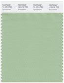 Pantone Smart 14-6316 TCX Color Swatch Card | Sprucestone