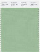 Pantone Smart 14-6319 TCX Color Swatch Card | Meadow