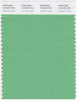 Pantone Smart 14-6329 TCX Color Swatch Card | Absinthe Green