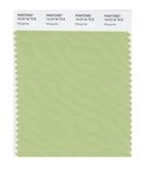 Pantone Smart 14-0116 TCX Color Swatch Card | Margarita