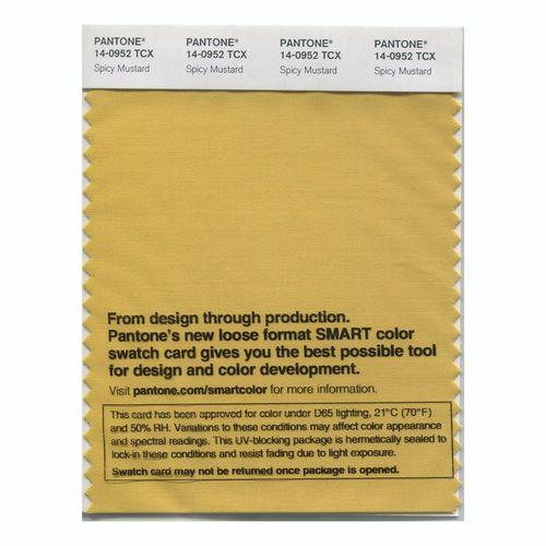 Pantone Smart 14-0952 TCX Color Swatch Card | Spicy Mustard