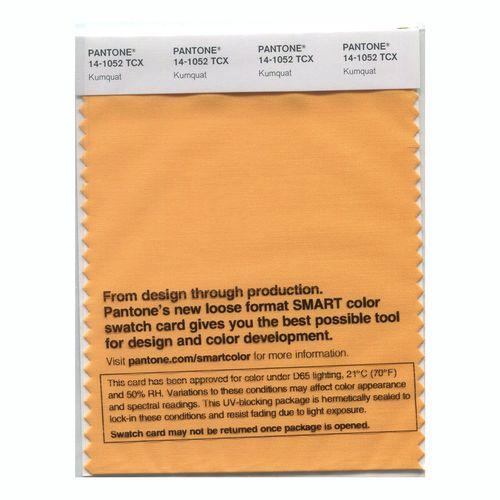Pantone Smart 14-1052 TCX Color Swatch Card | Kumquat
