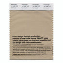 Pantone Smart 14-1208 TCX Color Swatch Card | Irish Cream