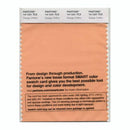 Pantone Smart 14-1241 TCX Color Swatch Card | Orange Chiffon