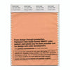 Pantone Smart 14-1241 TCX Color Swatch Card | Orange Chiffon