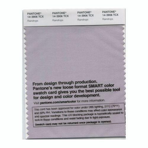 Pantone Smart 14-3906 TCX Color Swatch Card | Raindrops