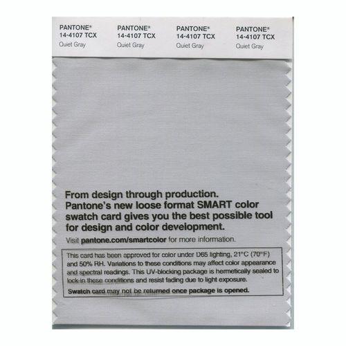 Pantone Smart 14-4107 TCX Color Swatch Card | Quiet Gray