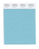Pantone Smart 14-4511 TCX Color Swatch Card | Gulf Stream