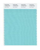 Pantone Smart 14-4812 TCX Color Swatch Card | Aqua Splash