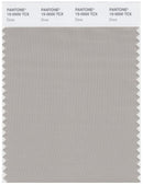 Pantone Smart 15-0000 TCX Color Swatch Card | Dove
