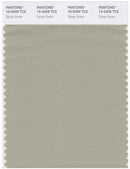 Pantone Smart 15-0309 TCX Color Swatch Card | Spray Green