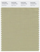 Pantone Smart 15-0318 TCX Color Swatch Card | Sage Green