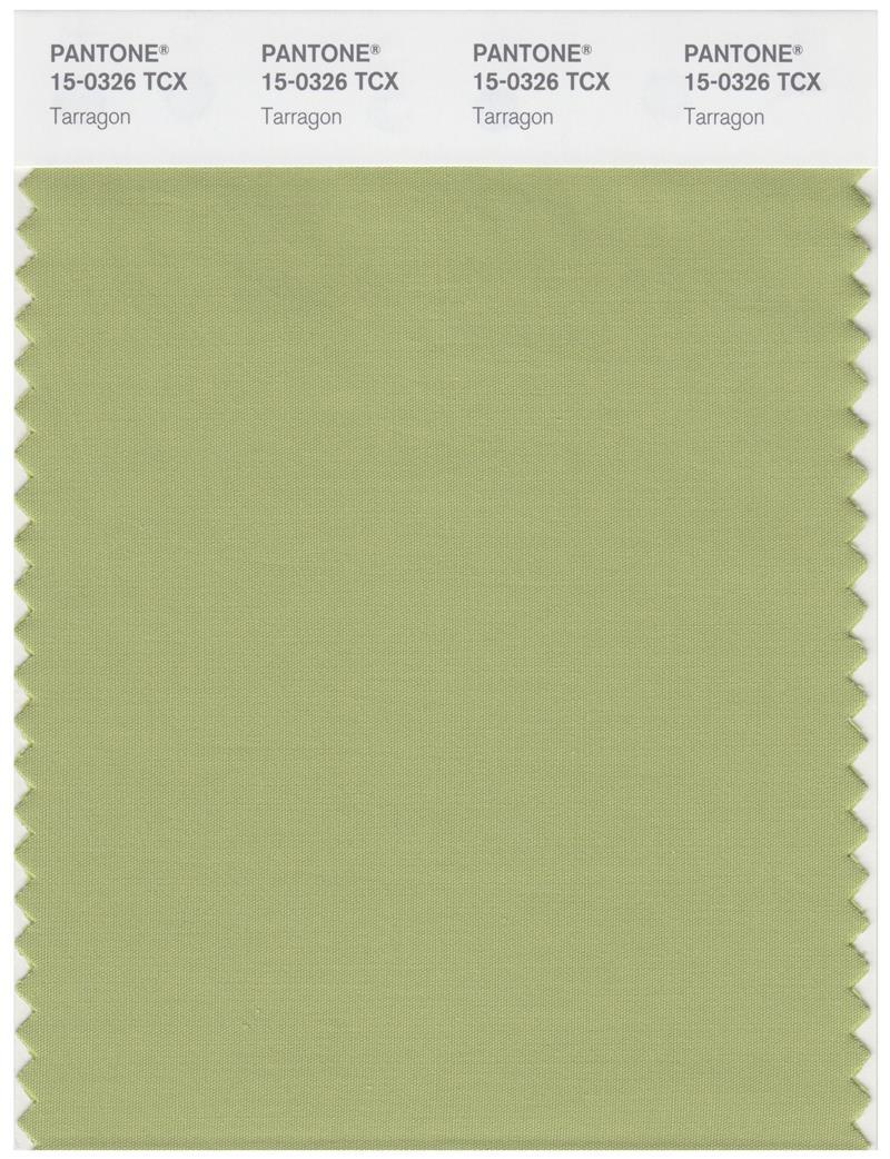 Pantone Smart 150326 TCX Color Swatch Card Tarragon Magazine Cafe