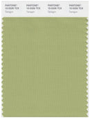 Pantone Smart 15-0326 TCX Color Swatch Card | Tarragon