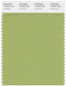 Pantone Smart 15-0332 TCX Color Swatch Card | Leaf Green