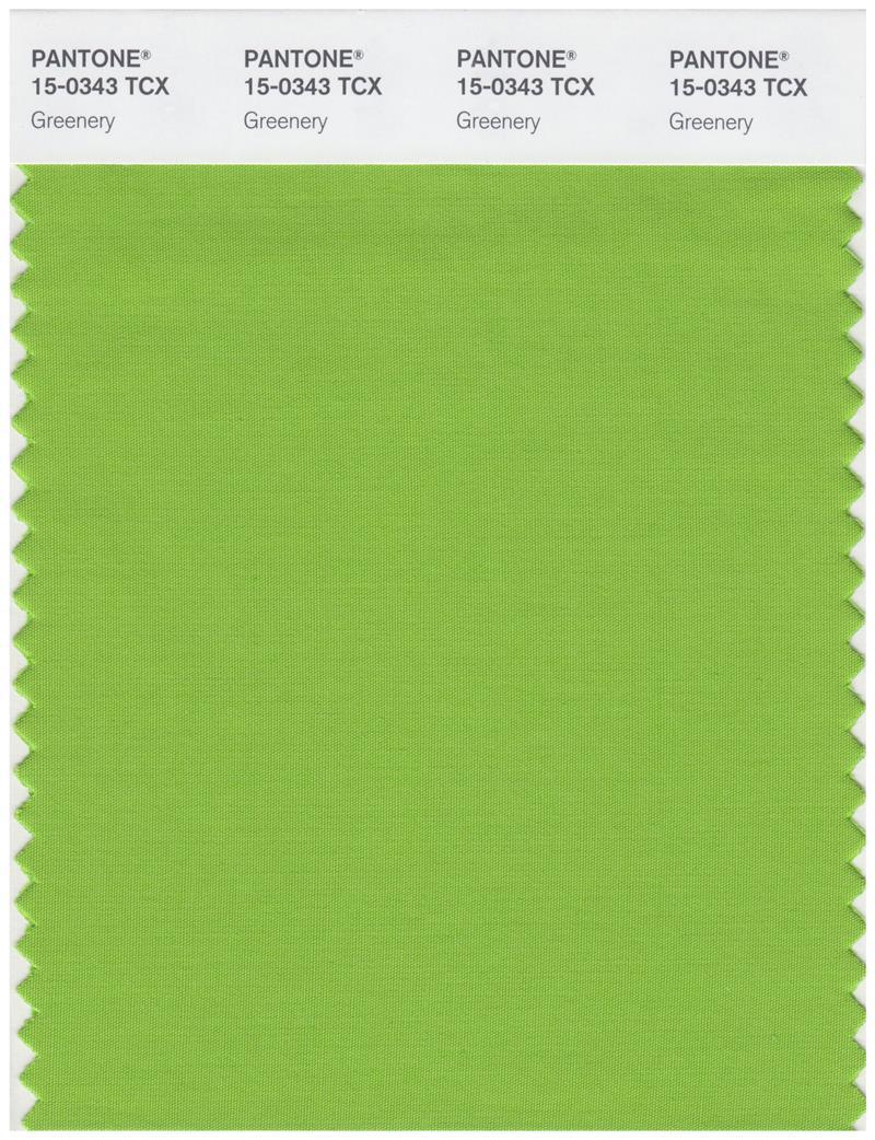 Pantone Smart 15-0343 TCX Color Swatch Card | Greenery | Magazine