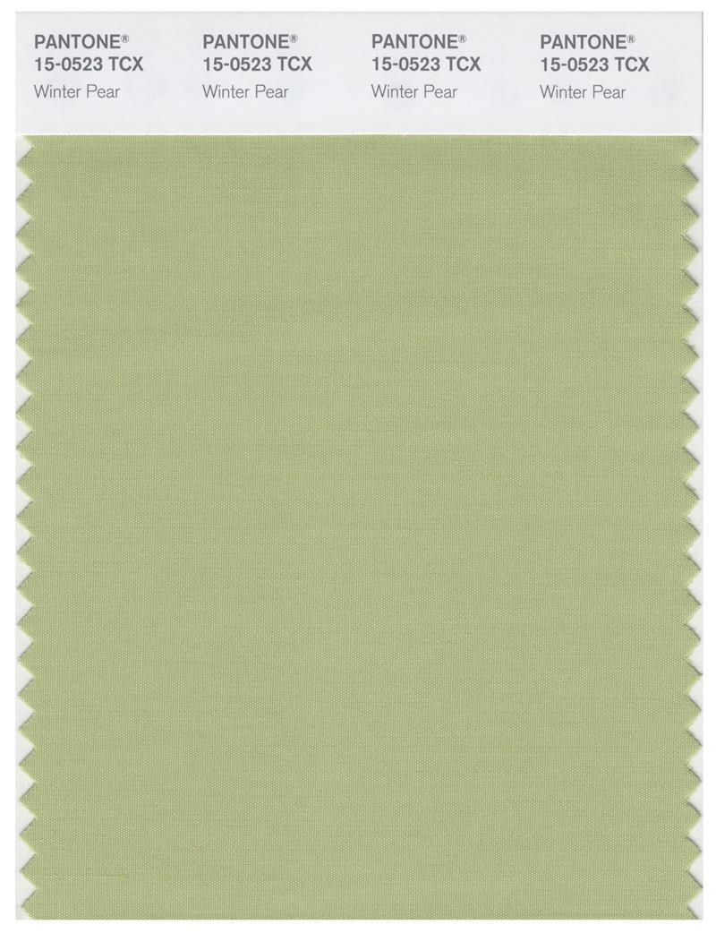 Color 1523 Pantone Smart 15-0523 TCX Color Swatch Card | Winter Pear | Magazine ...