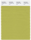 Pantone Smart 15-0535 TCX Color Swatch Card | Palm