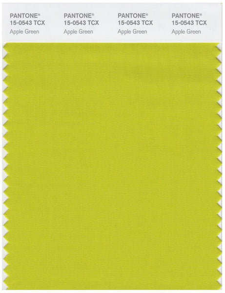 その他 PANTONE for fashion and  COLOR CARD Pantone Smart 15-0543 TCX Color Swatch Card | Apple Green