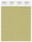Pantone Smart 15-0628 TCX Color Swatch Card | Leek Green