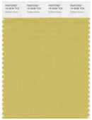 Pantone Smart 15-0636 TCX Color Swatch Card | Golden Green