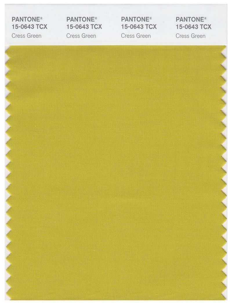 Pantone Smart 15-0643 TCX Color Swatch Card | Cress Green