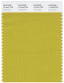 Pantone Smart 15-0643 TCX Color Swatch Card | Cress Green