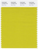 Pantone Smart 15-0646 TCX Color Swatch Card | Warm Olive