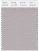 Pantone Smart 15-0703 TCX Color Swatch Card | Ashes Of Roses