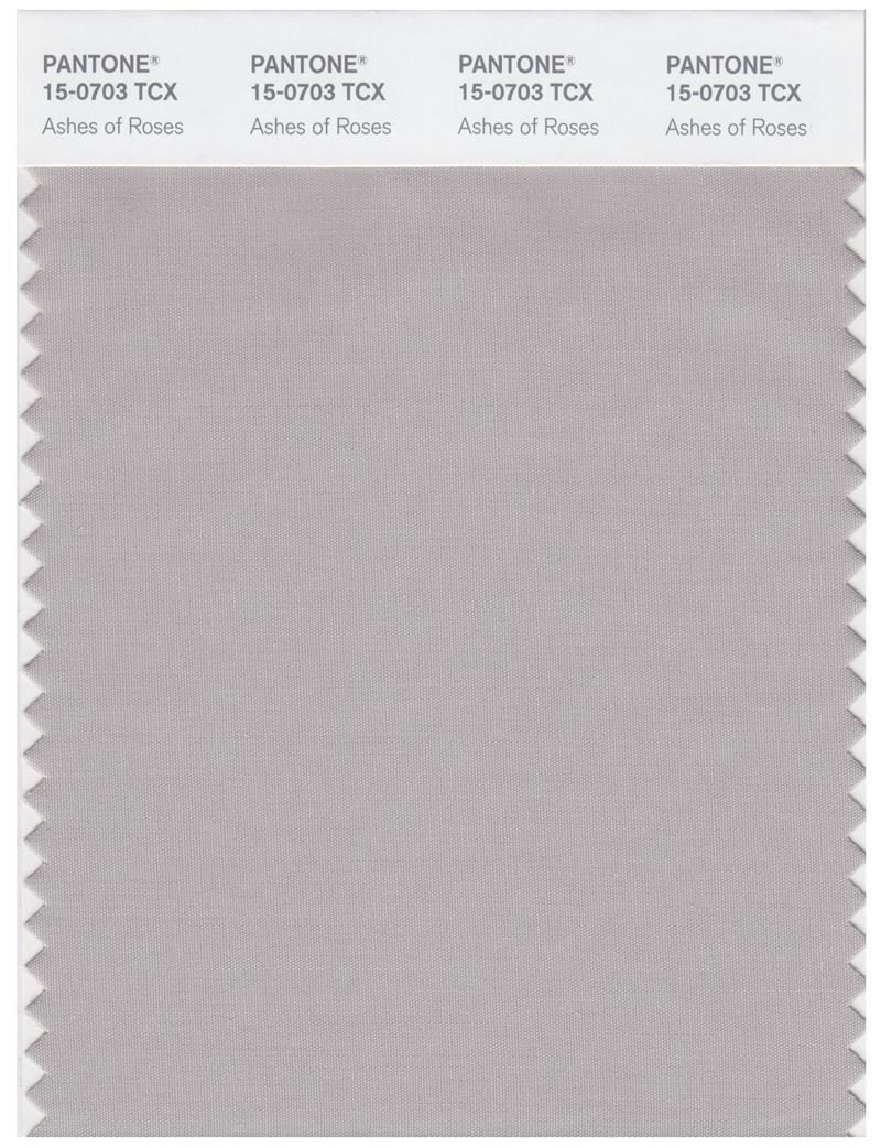 Pantone Smart 15-0703 TCX Color Swatch Card | Ashes Of Roses