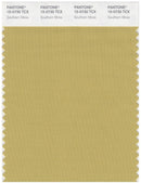 Pantone Smart 15-0730 TCX Color Swatch Card | Southern Moss