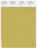 Pantone Smart 15-0732 TCX Color Swatch Card | Olivenite
