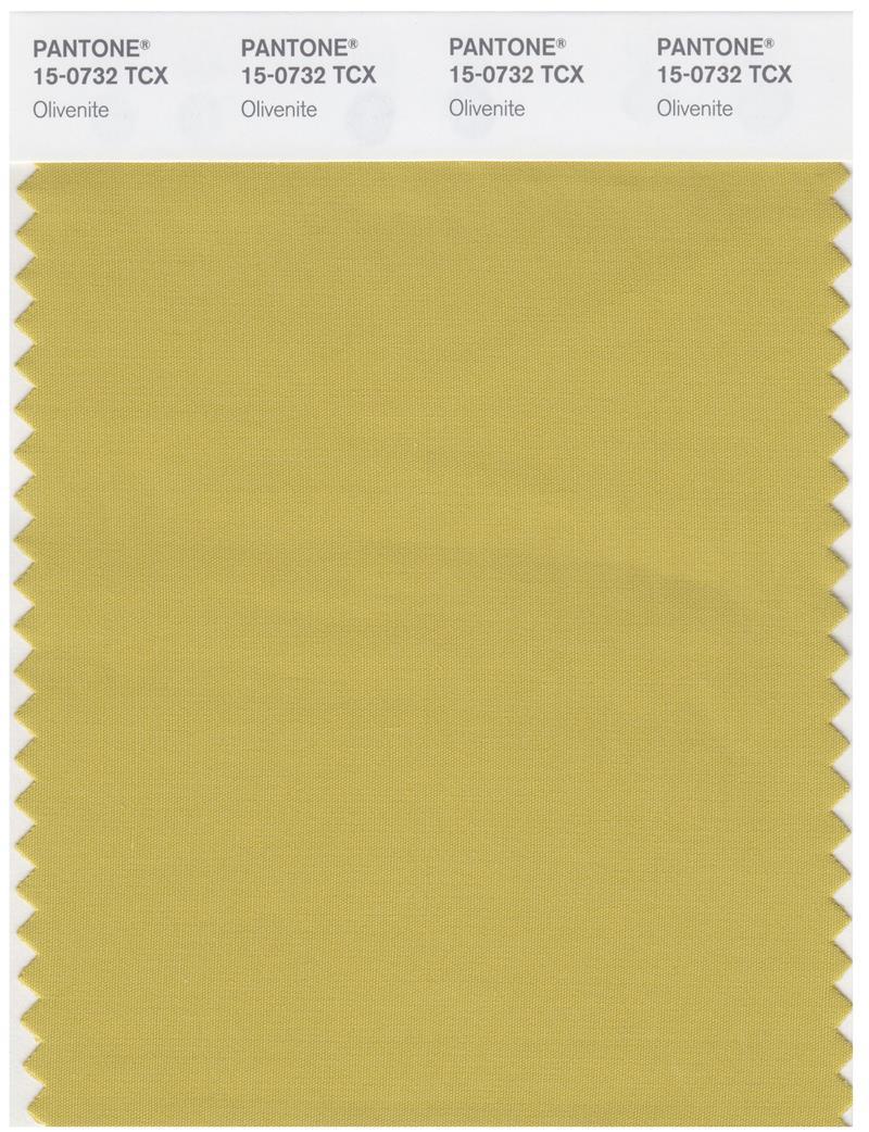 0732 Pantone Smart 15-0732 TCX Color Swatch Card | Olivenite | Magazine Cafe ...