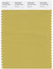 Pantone Smart 15-0732 TCX Color Swatch Card | Olivenite