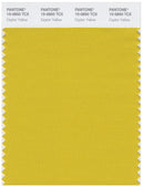 Pantone Smart 15-0850 TCX Color Swatch Card | Celon Yellow