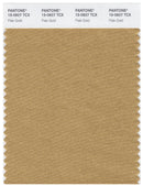 Pantone Smart 15-0927 TCX Color Swatch Card | Pale Gold