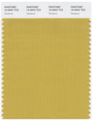 Pantone Smart 15-0942 TCX Color Swatch Card | Sauterne