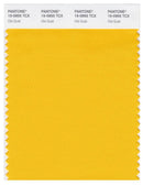 Pantone Smart 15-0955 TCX Color Swatch Card | Old Gold