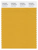 Pantone Smart 15-1050 TCX Color Swatch Card | Golden Glow