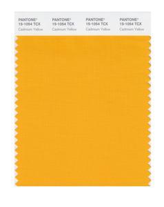 Pantone Smart 15-1504 TCX Color Swatch Card | Cadmium Yellow