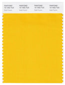 Pantone Smart 15-1062 TCX Color Swatch Card | Gold Fusion