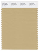 Pantone Smart 15-1119 TCX Color Swatch Card | Taos Taupe