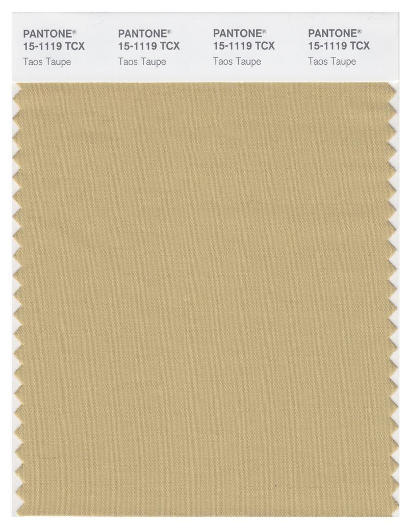 Pantone Smart 15-1119 TCX Color Swatch Card | Taos Taupe