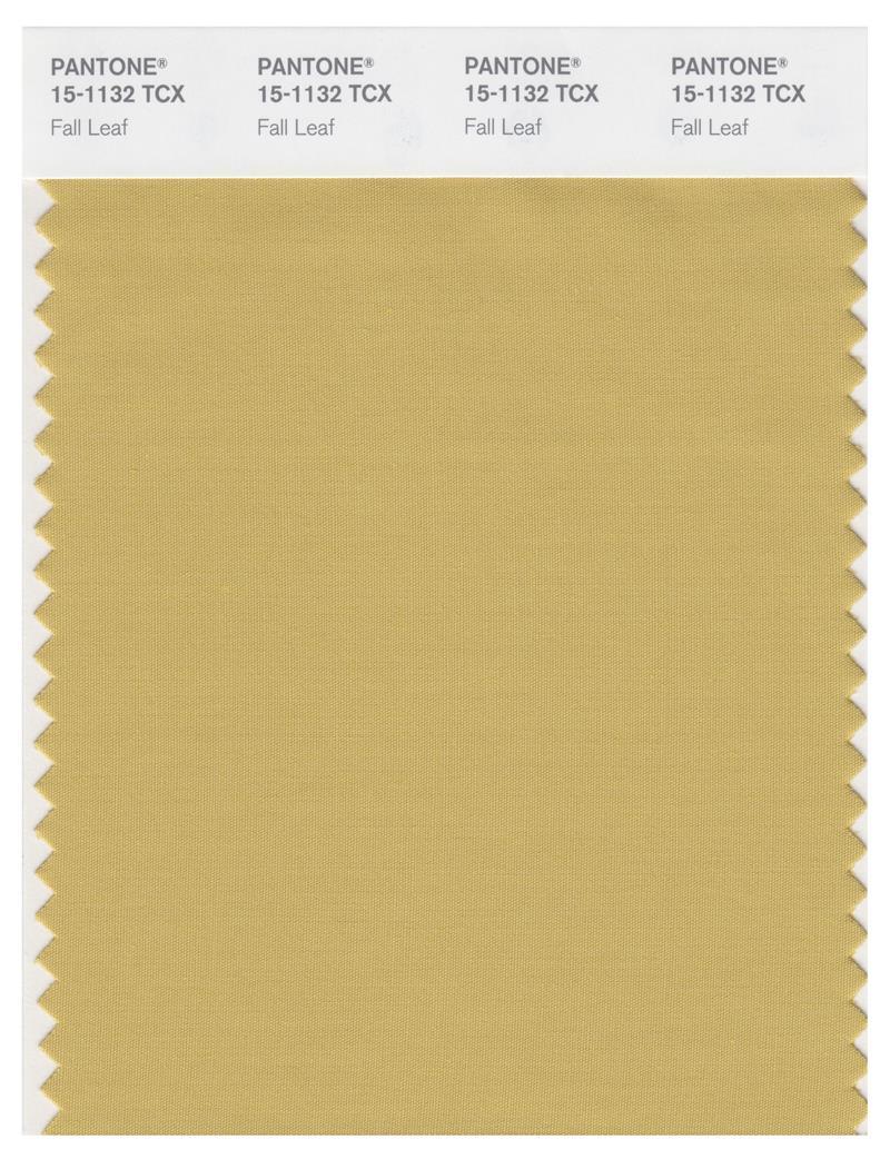 Pantone Smart 15-1132 TCX Color Swatch Card | Fall Leaf