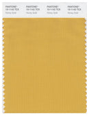 Pantone Smart 15-1142 TCX Color Swatch Card | Honey Gold