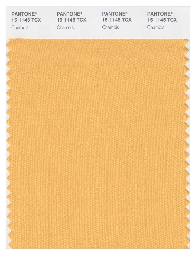 Pantone Smart 15-1145 TCX Color Swatch Card | Chamois | Magazine
