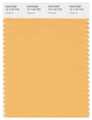 Pantone Smart 15-1145 TCX Color Swatch Card | Chamois