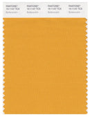 Pantone Smart 15-1147 TCX Color Swatch Card | Butterscotch