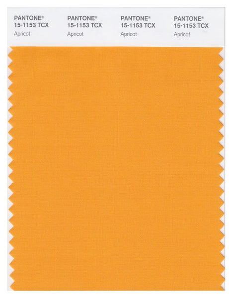 Pantone Smart 15-1153 TCX Color Swatch Card | Apricot | Magazine